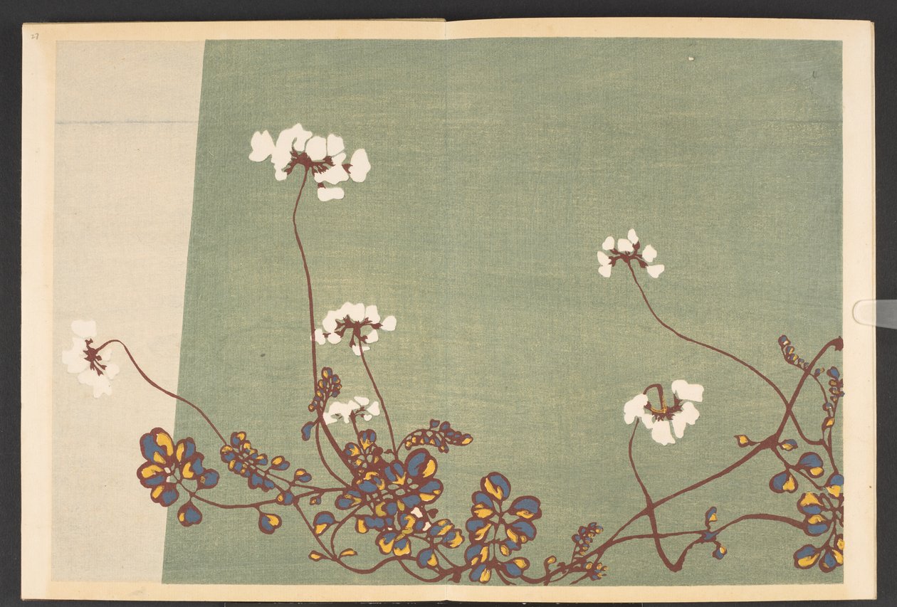 Shasei sôka môyô, Muster von Pflanzen und Blumen aus dem Leben von Furuya Korin