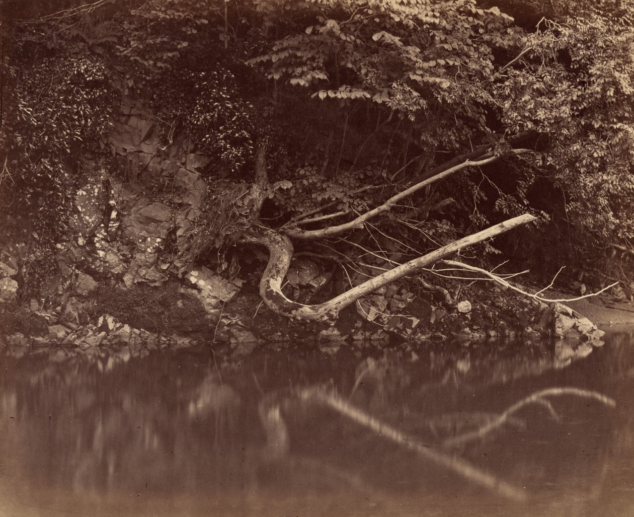 Flussufer im Tal von Neath, ca. 1855 von G. B. Gething