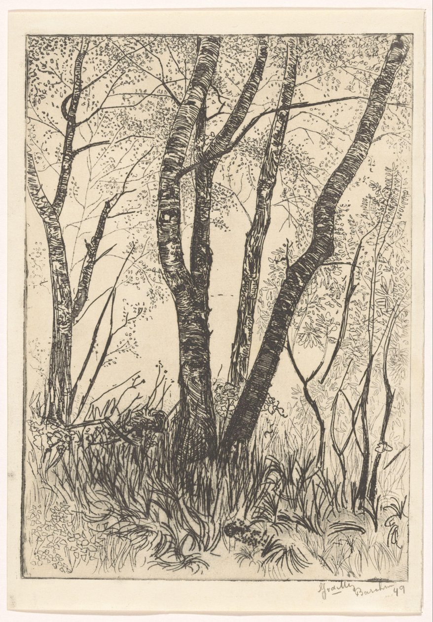 Bäume im hohen Gras von G. van der Mey (signed by artist)