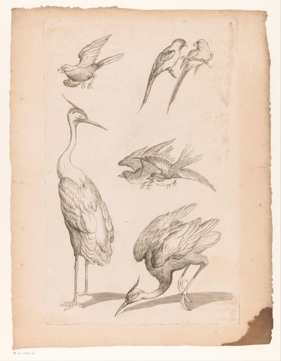 Sieben chinesische Vögel, darunter Reiher und Papageien von Gabriel Huquier (attributed to)
