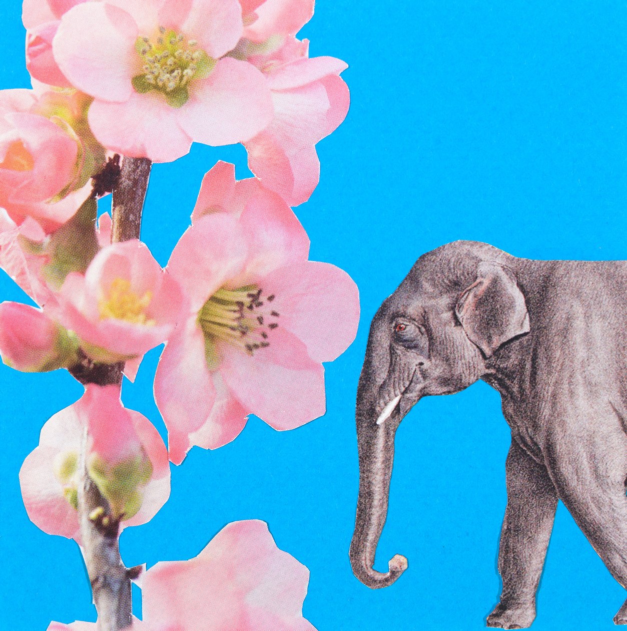 Elefantenblüte, 2018 von Genevieve French