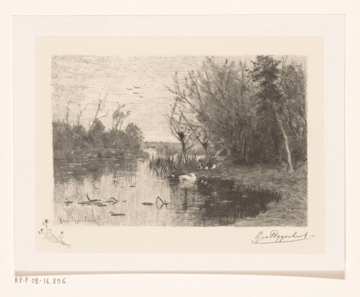 Enten entlang und auf dem Ufer eines Teiches von Geo Poggenbeek (signed by artist)