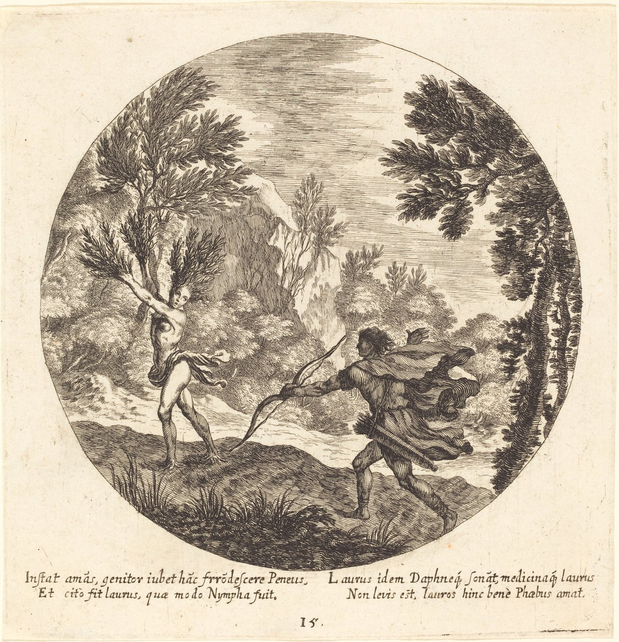 Daphne wird zu einem Lorbeer von Georg Andreas Wolfgang the Elder