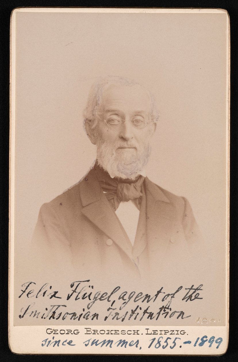 Porträt von Felix Flugel von Georg Conrad Adolph Brokesch