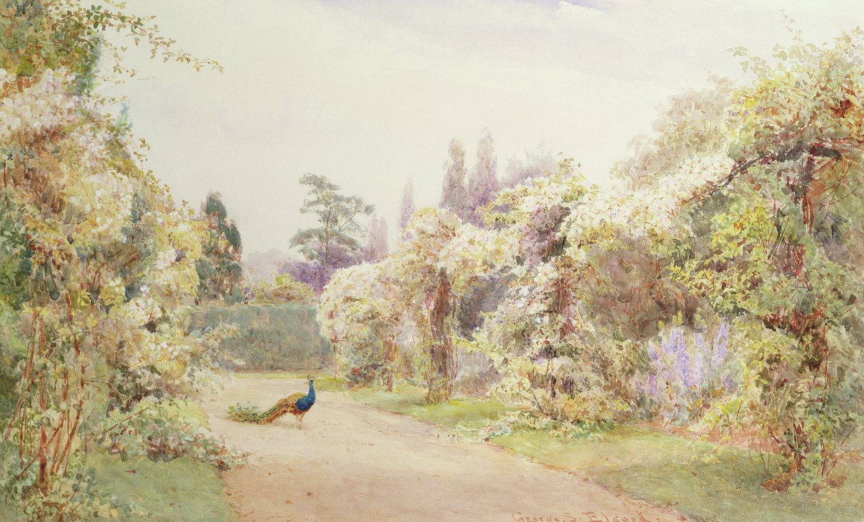 Sommergarten mit einem Pfau von George Samuel Elgood