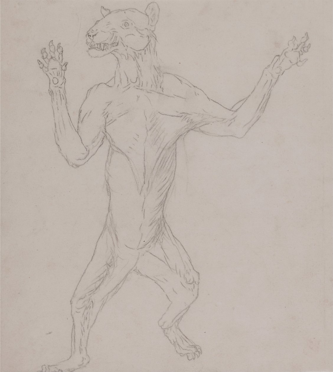 Vergleichende anatomische Darstellung der Struktur des menschlichen Körpers mit der eines Tigers und einer Kuh von George Stubbs