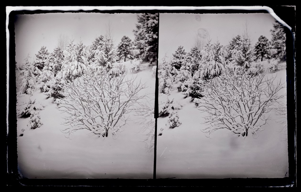 Prospect Park, Brooklyn, ca. 1872-87 von George Bradford Brainerd