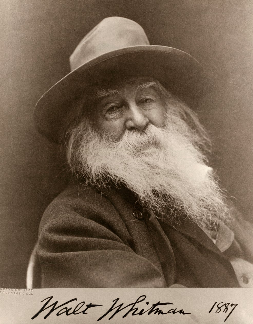 Porträt von Walt Whitman im Jahr 1887 von George C. Cox
