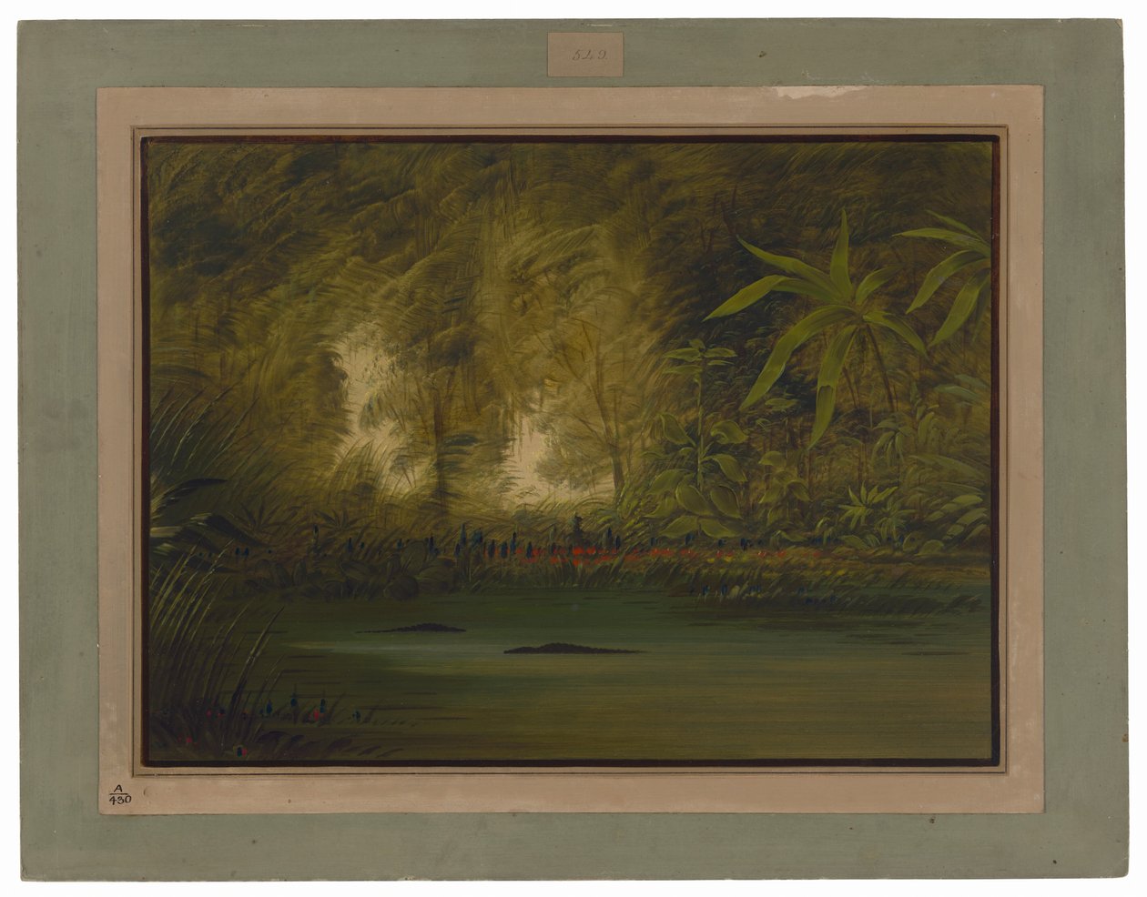 Eine Lagune des oberen Amazonas von George Catlin