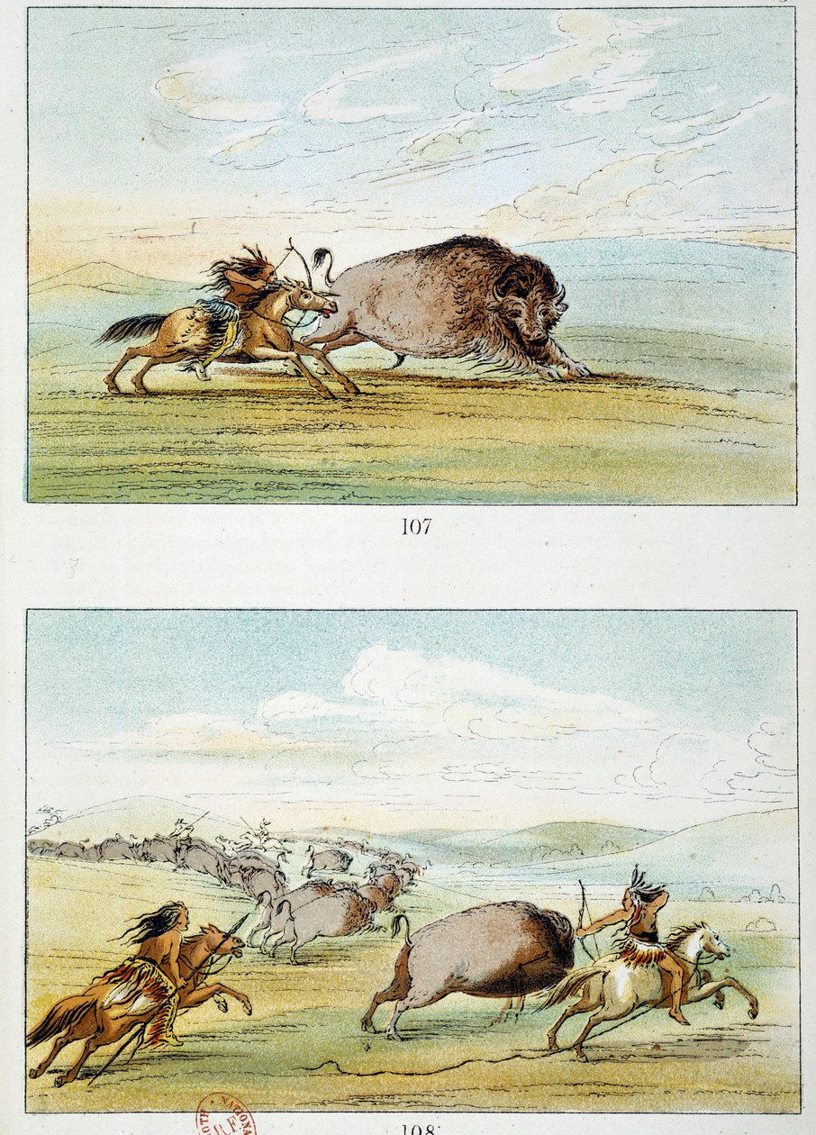 Amerikanische Indianer: Bisonjagd. Illustration von George Catlin (1794-1872) von George Catlin