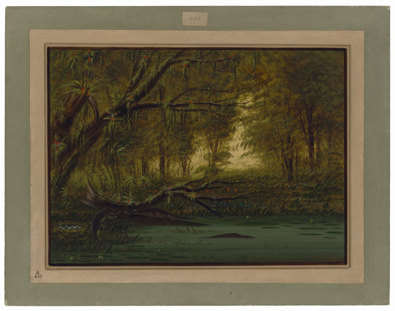 Ein Alligatornest von George Catlin