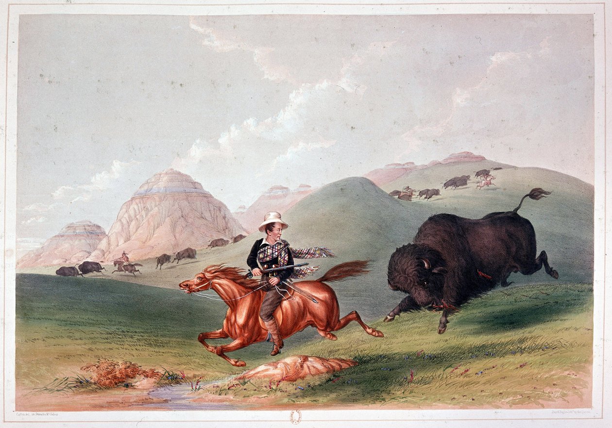 Bisonjagd in Nordamerika - Lithografie von Georges Catlin von George Catlin