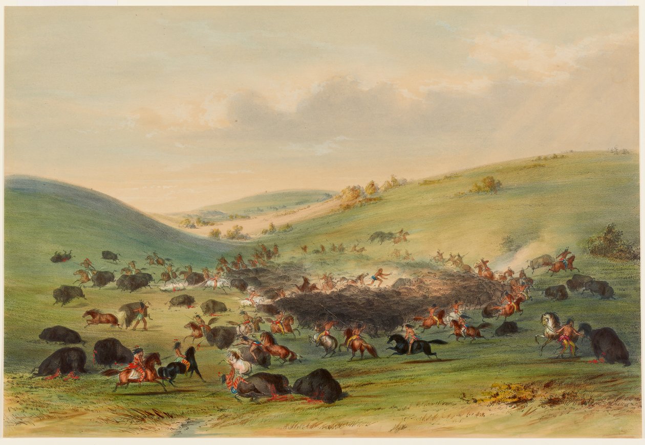Büffeljagd, Umzingelung von George Catlin