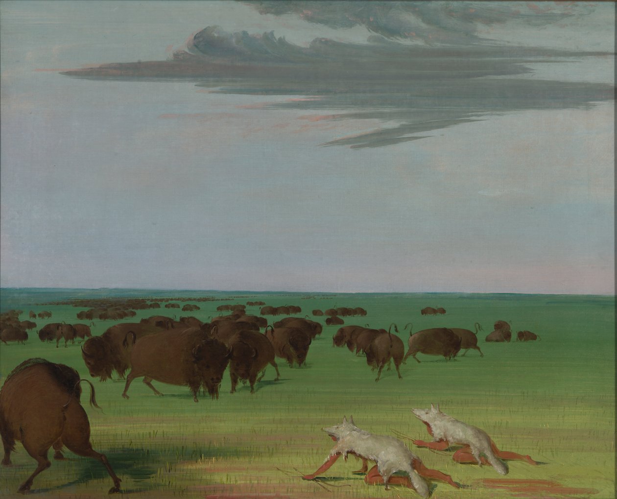 Büffeljagd unter der Wolfshautmaske, 1832-1833 von George Catlin