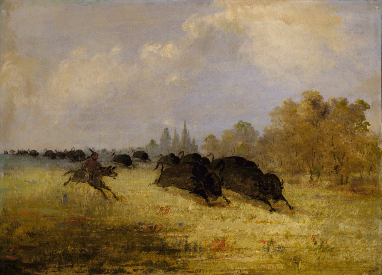 Caddo-Indianer jagen Büffel, Cross Timbers, Texas von George Catlin