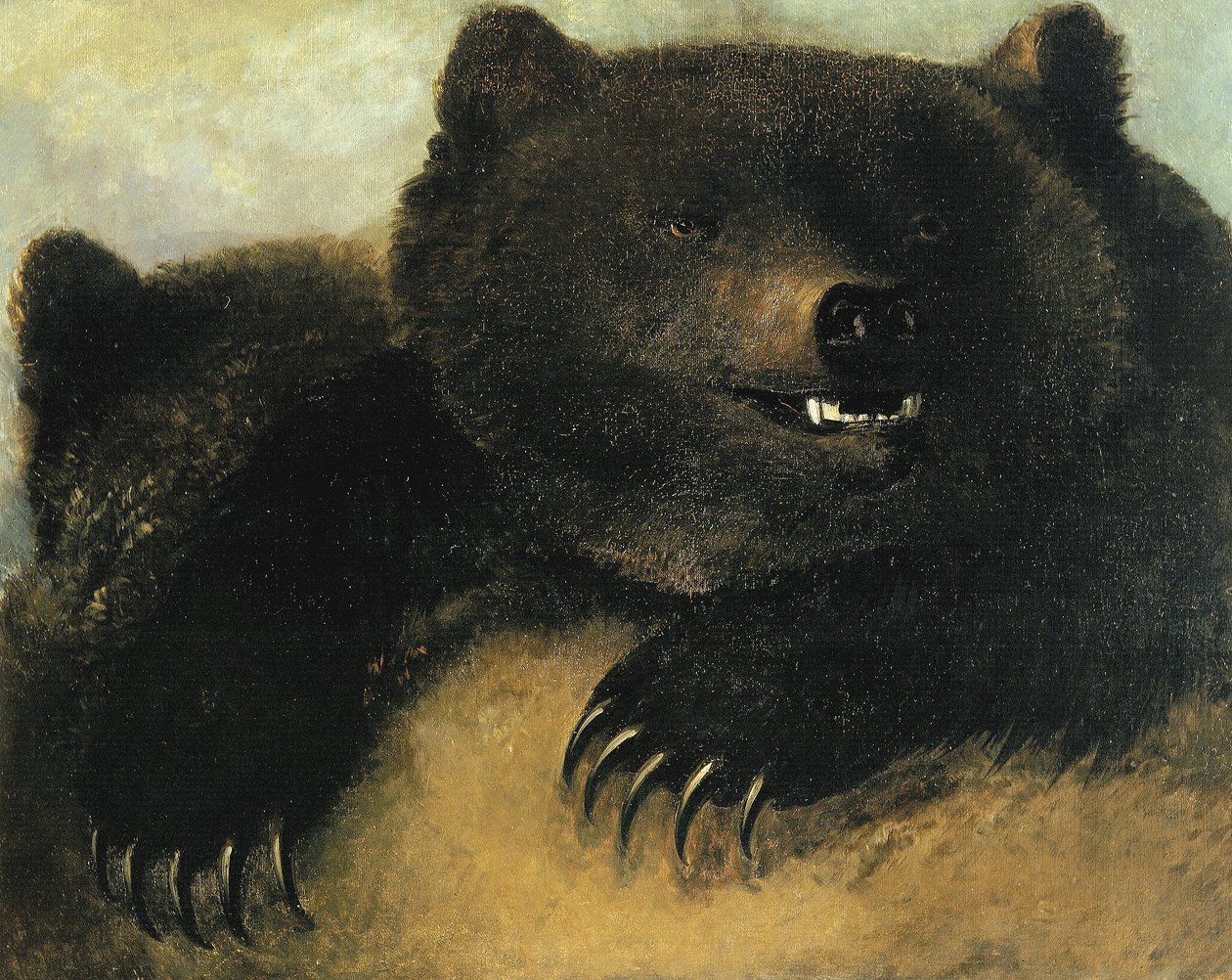Waffen und Physiognomie des Grizzlybären von George Catlin