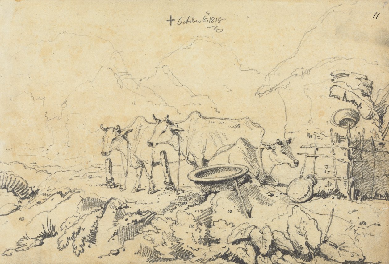 Drei angebundene Kühe von George Chinnery