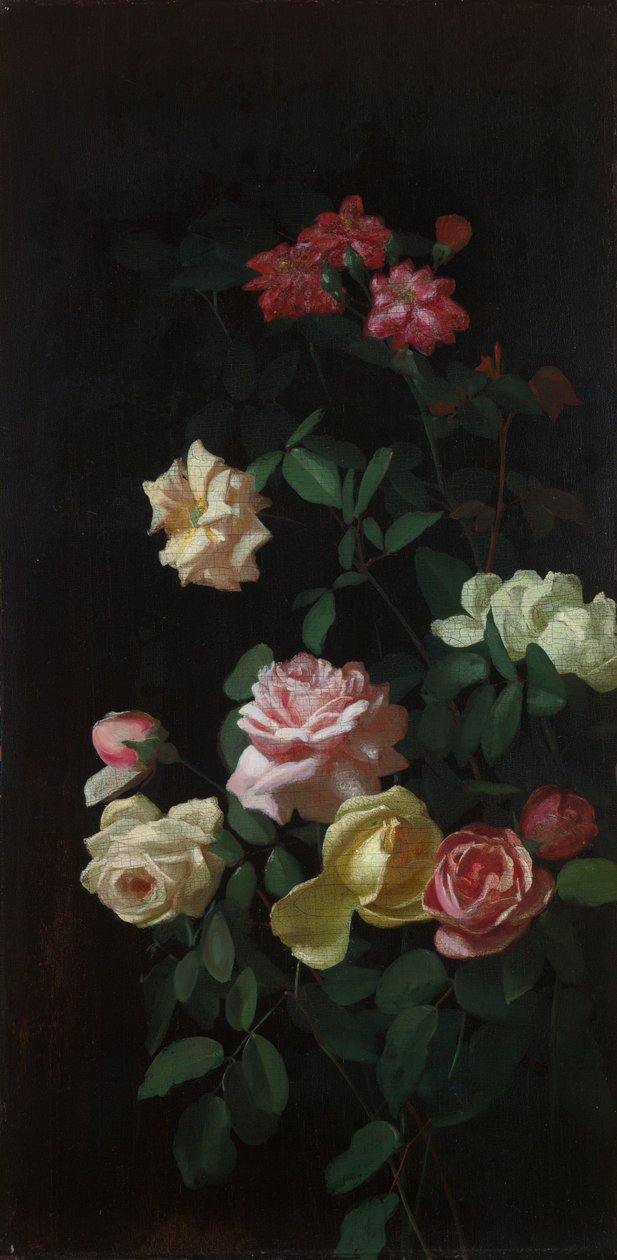 Rosen von George Cochran Lambdin: hochwertiger Kunstdruck