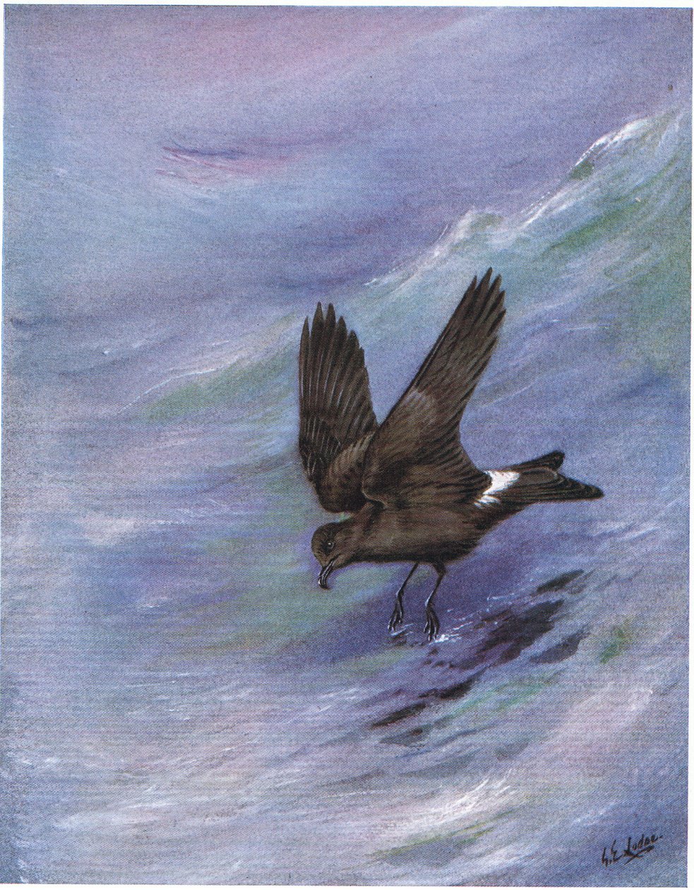 Wellenläufer von George Edward Lodge