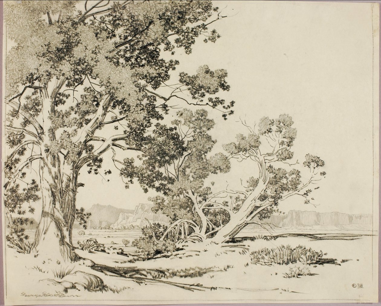 Ohne Titel von George Elbert Burr