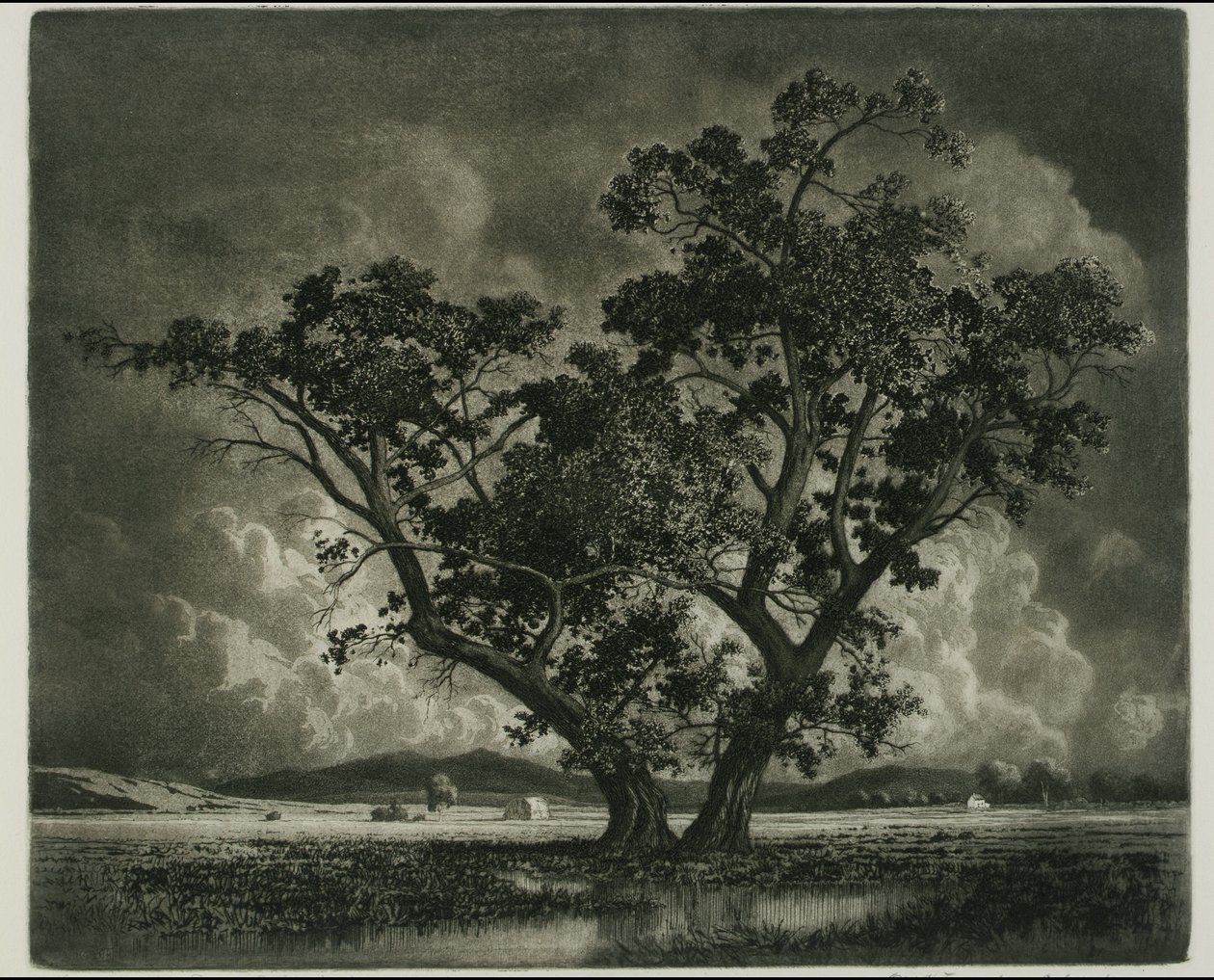 Alte Baumwollhölzer, Colorado von George Elbert Burr