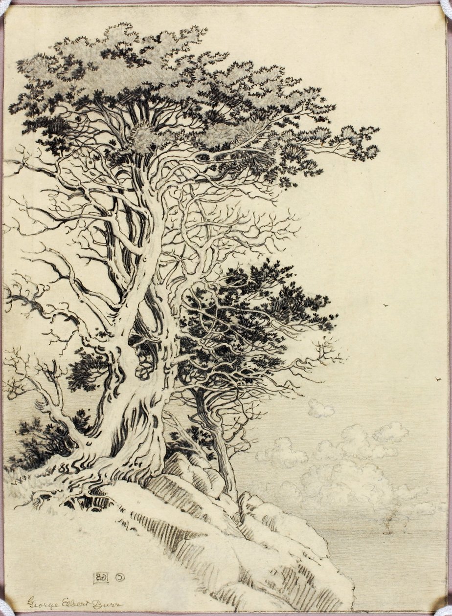 Ohne Titel (Zeichnung für Druck) von George Elbert Burr