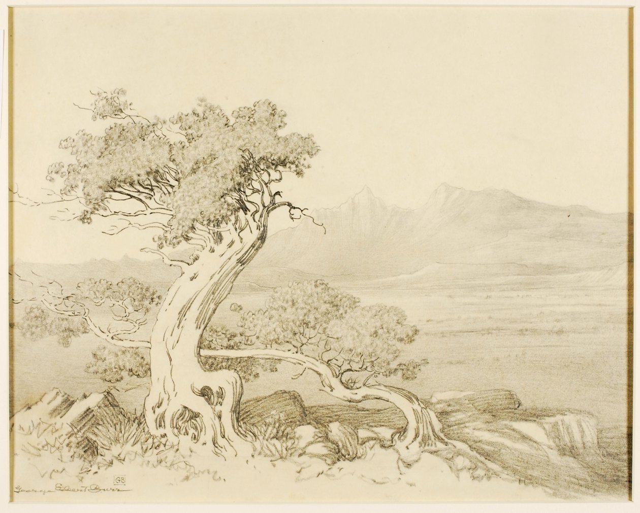 Ohne Titel (Transferzeichnung für Alte Zedern und Spanische Gipfel) von George Elbert Burr
