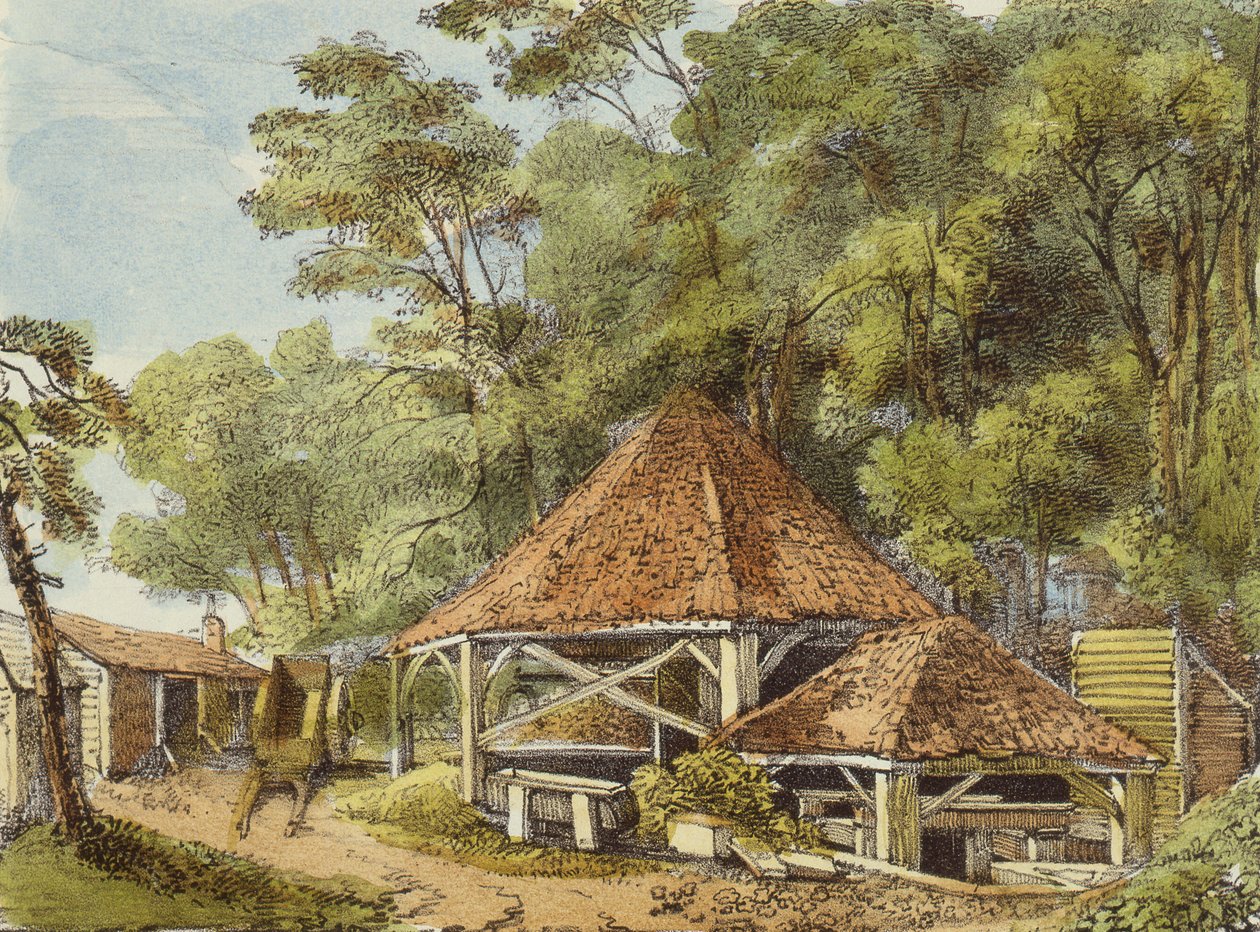 Wasserwerke, Kew Gardens, Tafel 22 aus Kew Gardens: Eine Serie von vierundzwanzig Zeichnungen auf Stein, graviert von Charles Hullmandel (1789-1850), veröffentlicht 1820 von George Ernest after Papendiek