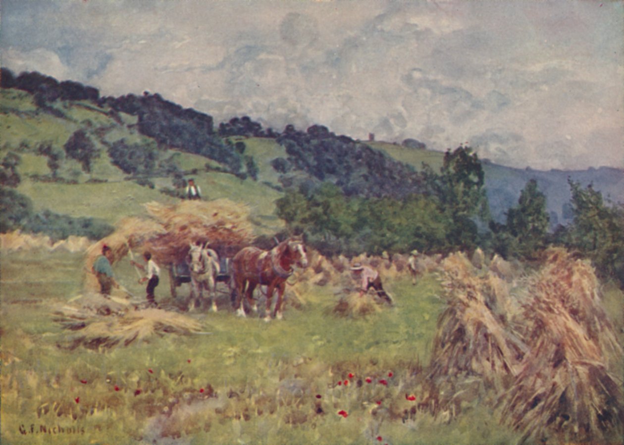 Ein Kornfeld, 1910 von George Franck Nicholls
