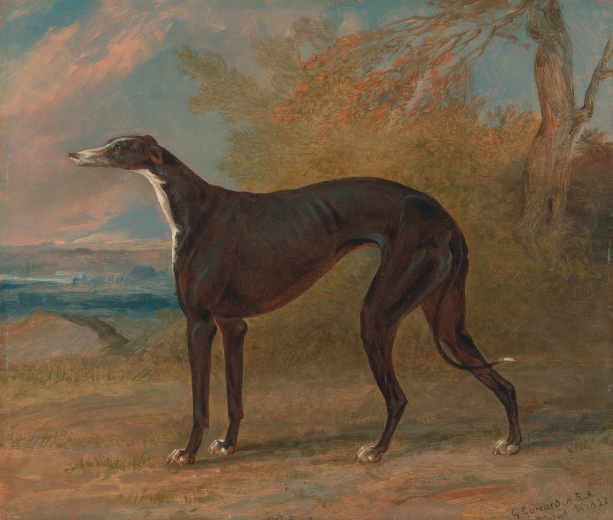 Einer von George Lane Fox