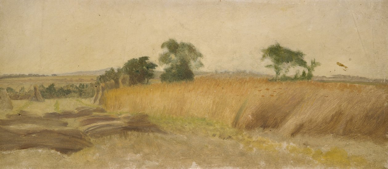 Studie eines Kornfeldes von George Hemming Mason