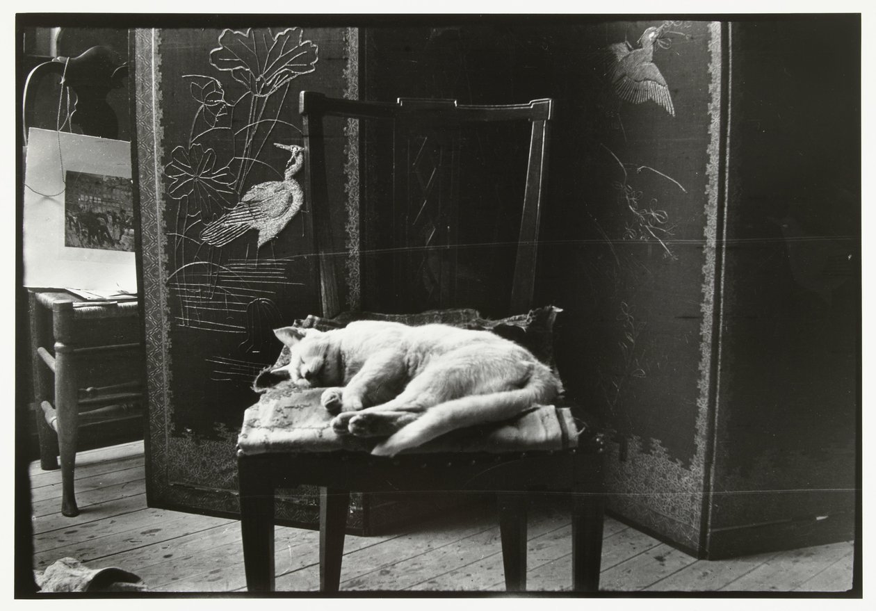 Katze auf einem Stuhl im Atelier von Breitner in Amsterdam von George Hendrik Breitner