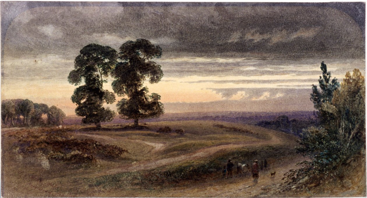 Gesamtansicht von Hampstead, London, 1849 von George Henry Hine