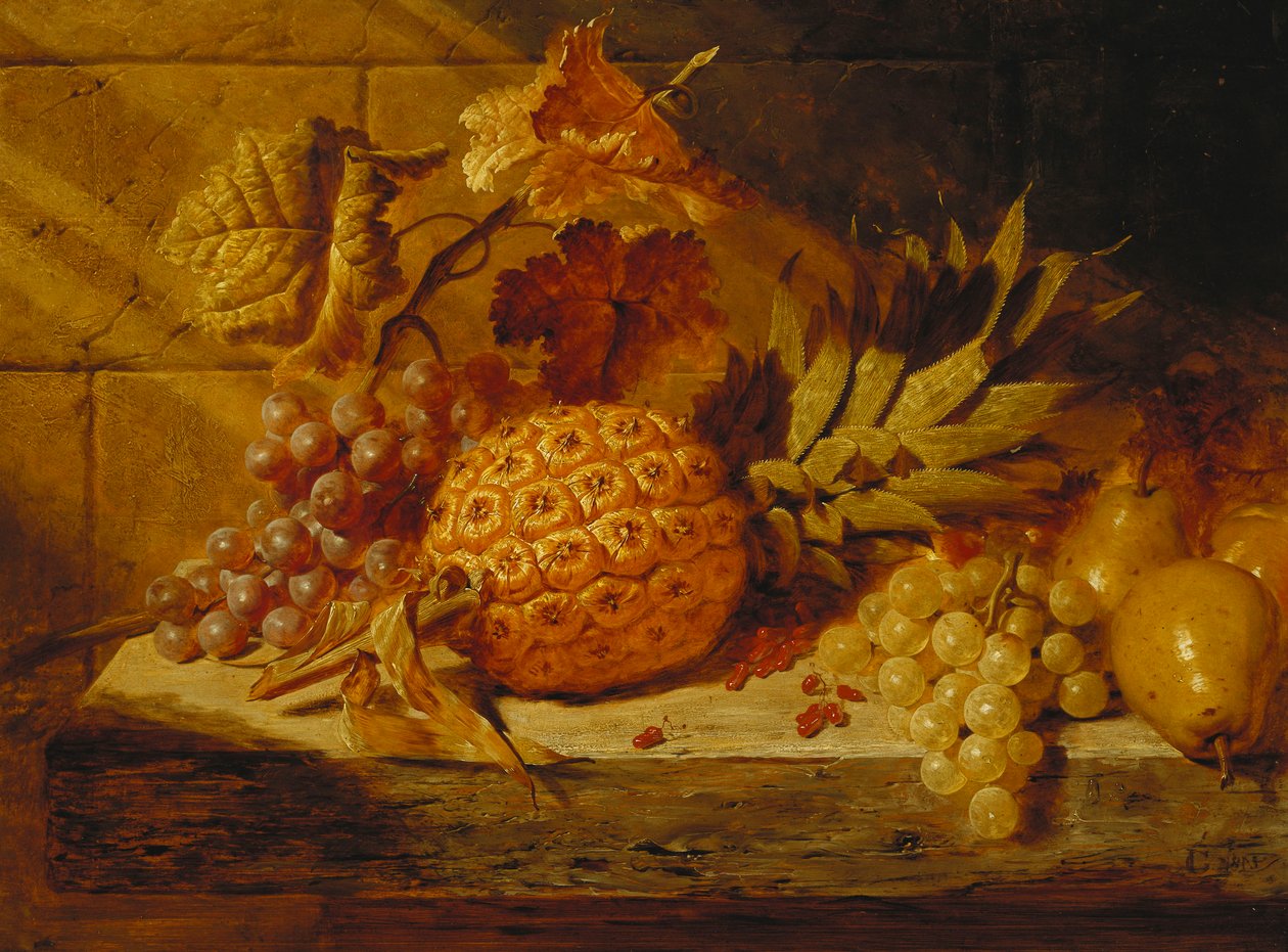 Schwarze und weiße Trauben, Birnen, Johannisbeeren und eine Ananas auf einem Sims, 1845 von George Lance