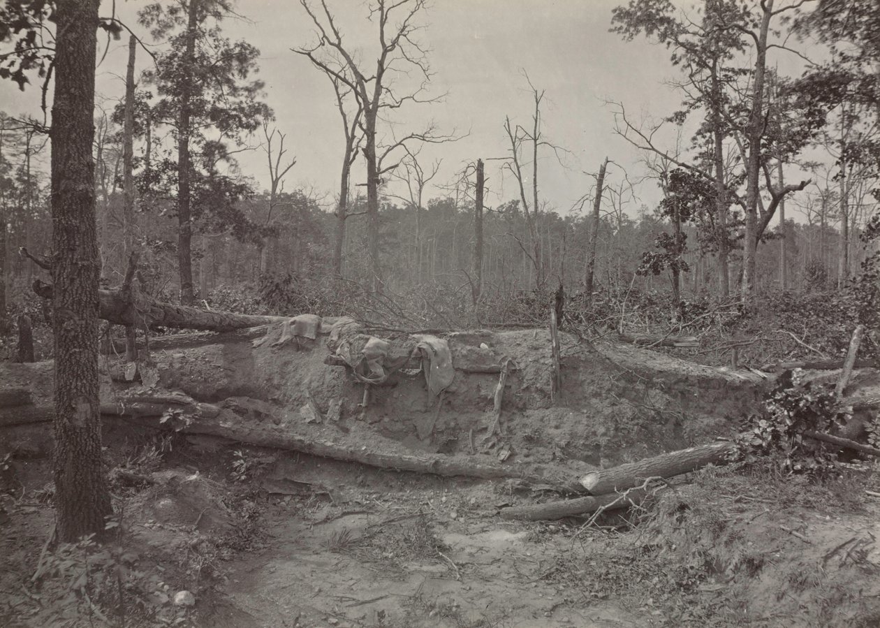 Schlachtfeld von New Hope Church, Georgia, Nr. 2, 1865-1866 von George N. Barnard