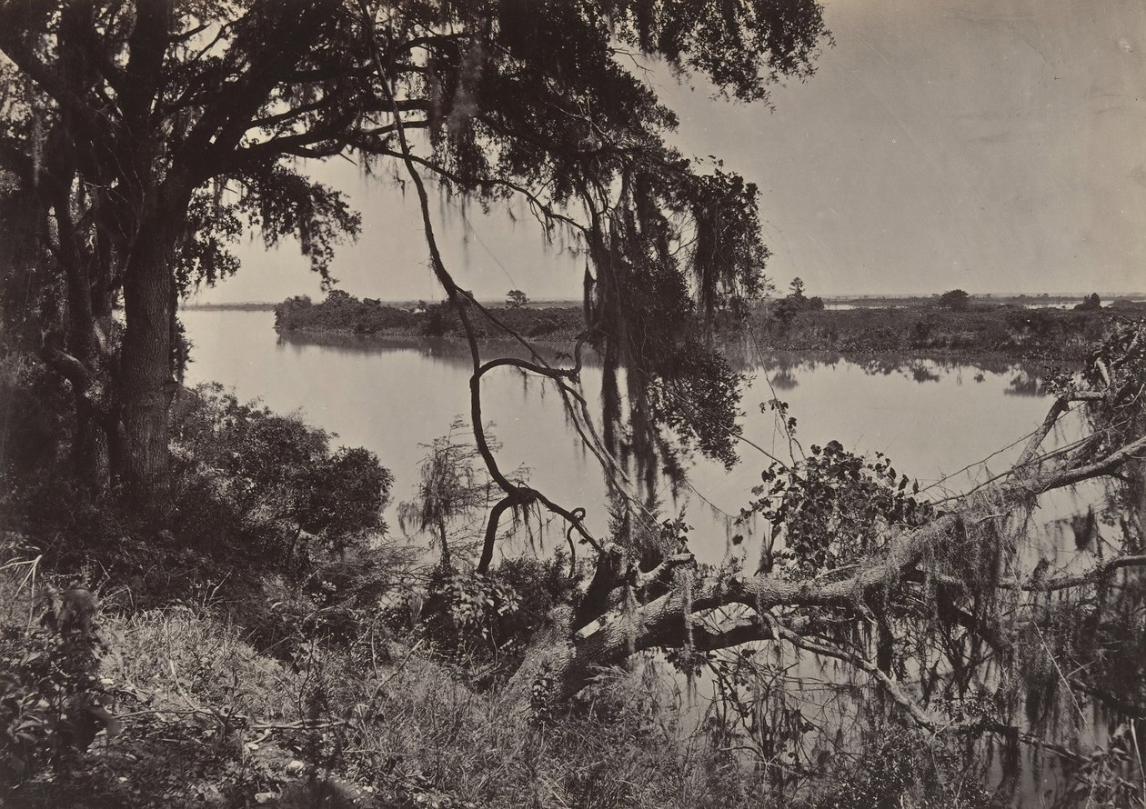 Savannah River, in der Nähe von Savannah, Georgia, 1860er Jahre von George N. Barnard