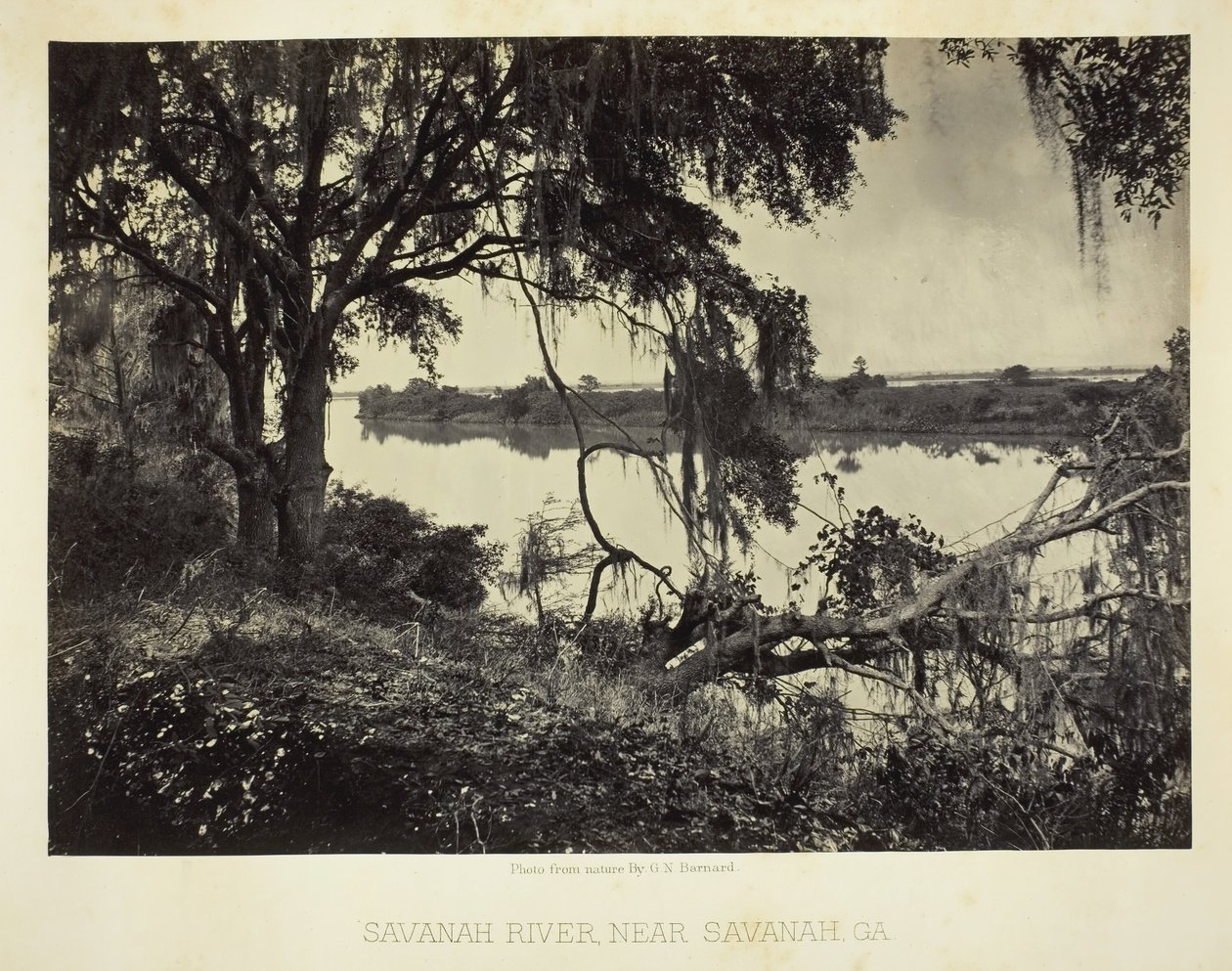 Savannah River, nahe Savannah, GA, 1866 von George N. Barnard