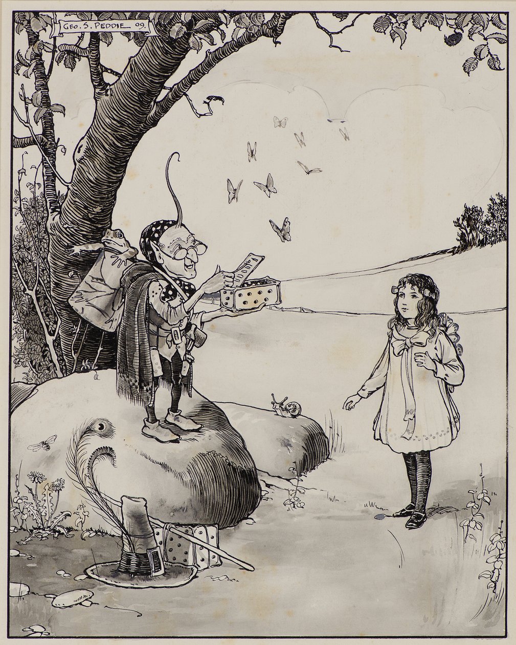 Zauberkiste der Schmetterlinge von George Salmond Peddie