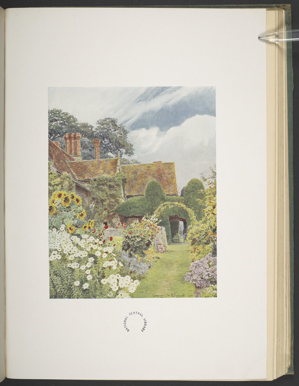 Cleeve Prior, Sonnenblumen, Illustration in 