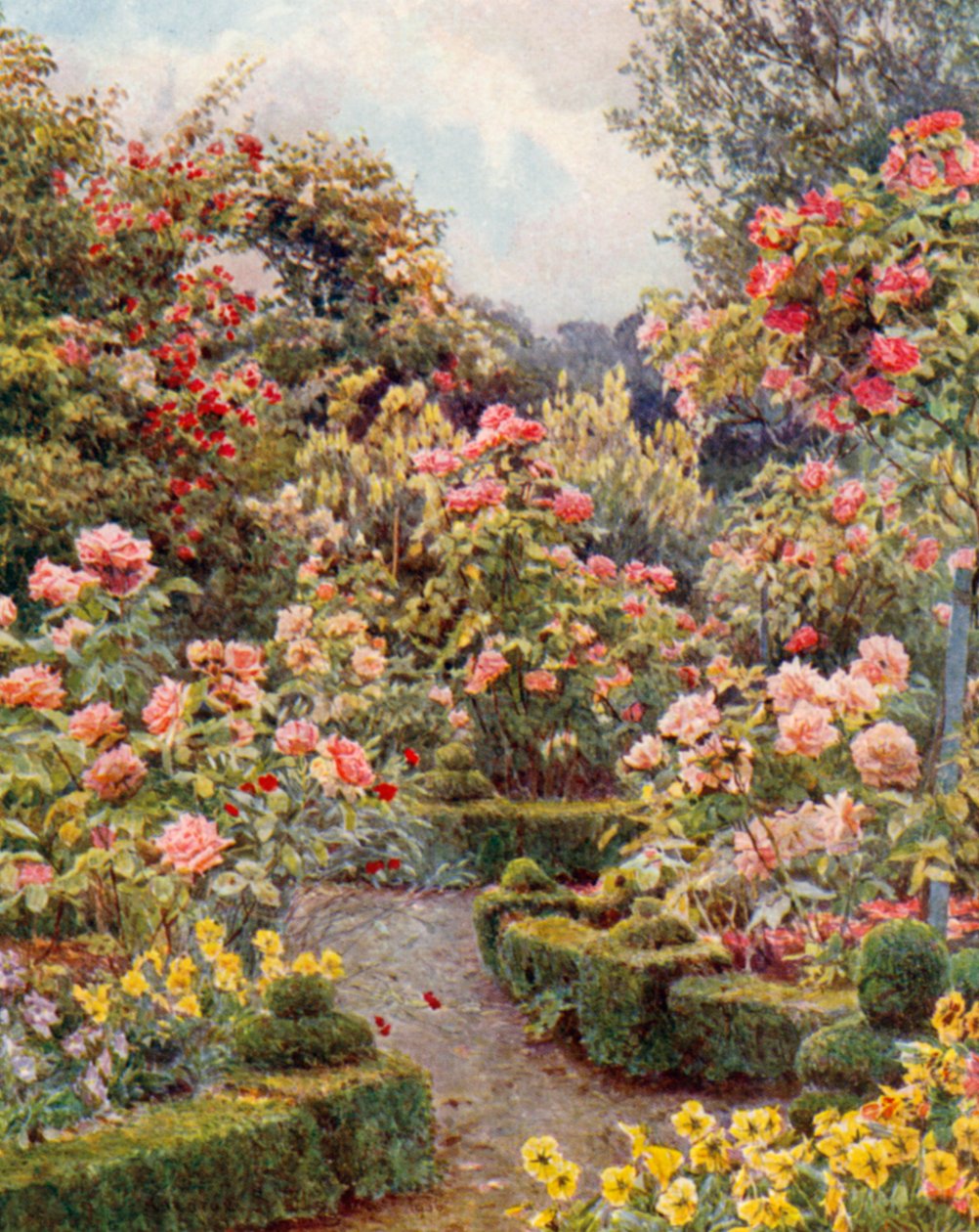 Überall sind Rosen, Rosen von George Samuel Elgood