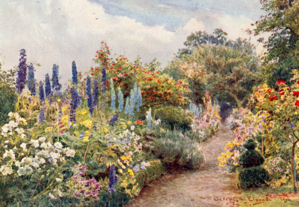 Rittersporn von George Samuel Elgood