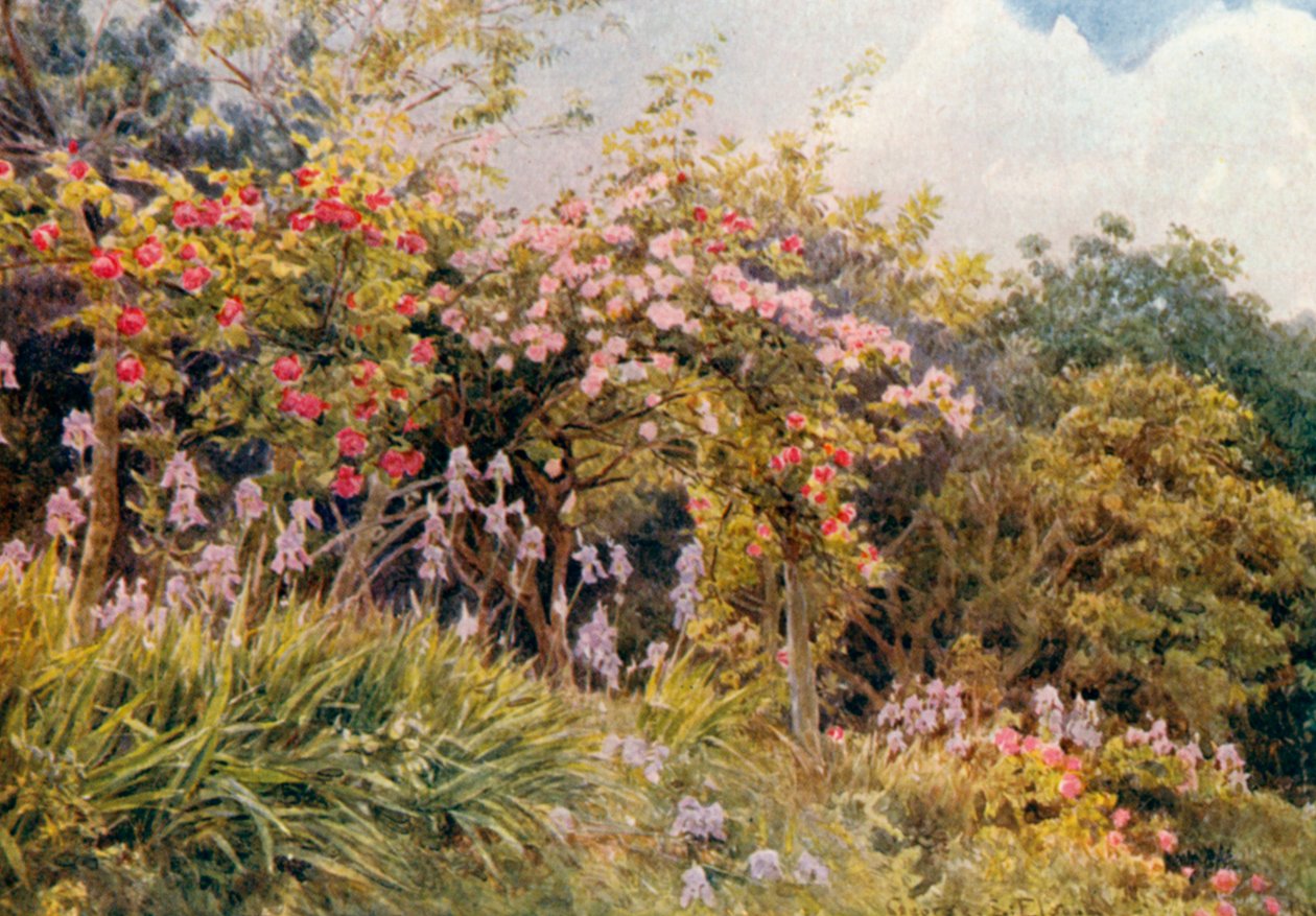 Rosen und Iris von George Samuel Elgood