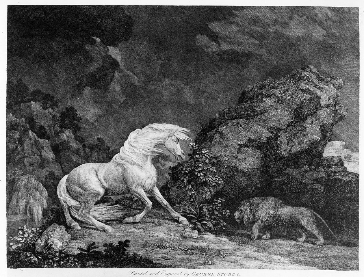 Ein Pferd erschreckt von einem Löwen, graviert vom Künstler, 1777 von George Stubbs