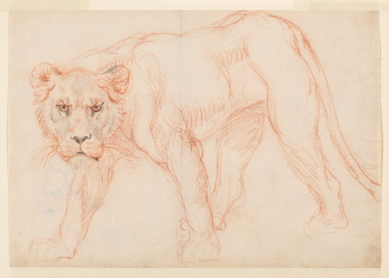 Löwin auf der Pirsch von George Stubbs