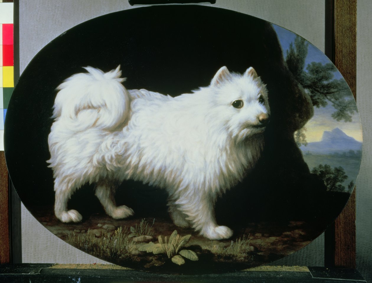 Porträt von Mrs. Frenchs weißem Schoßhund von George Stubbs