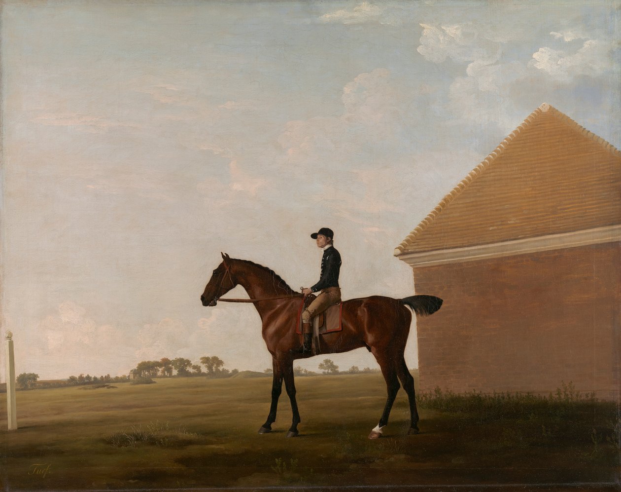 Turf, mit Jockey, in Newmarket von George Stubbs