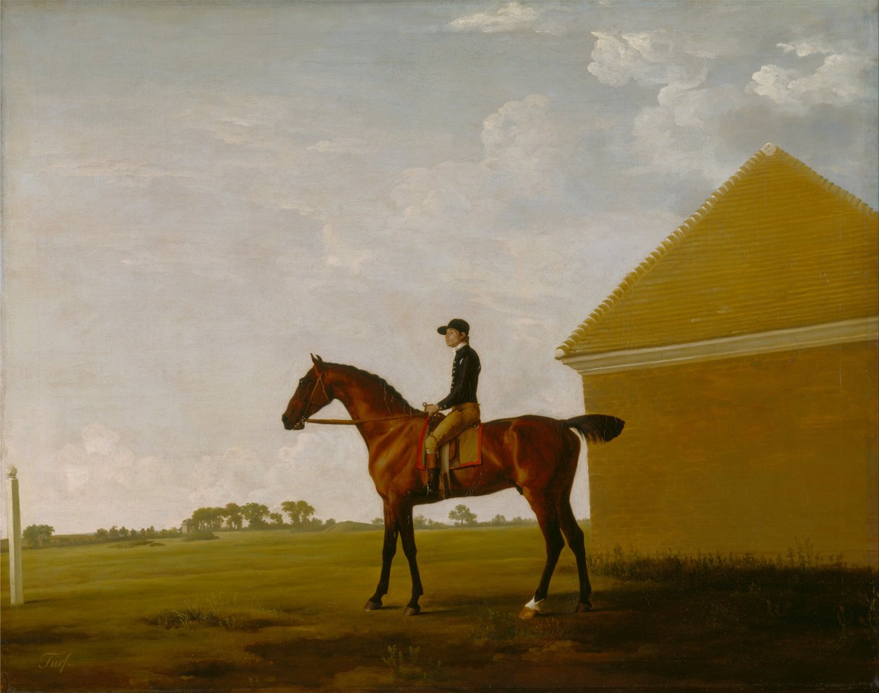 Turf, mit Jockey, in Newmarket von George Stubbs
