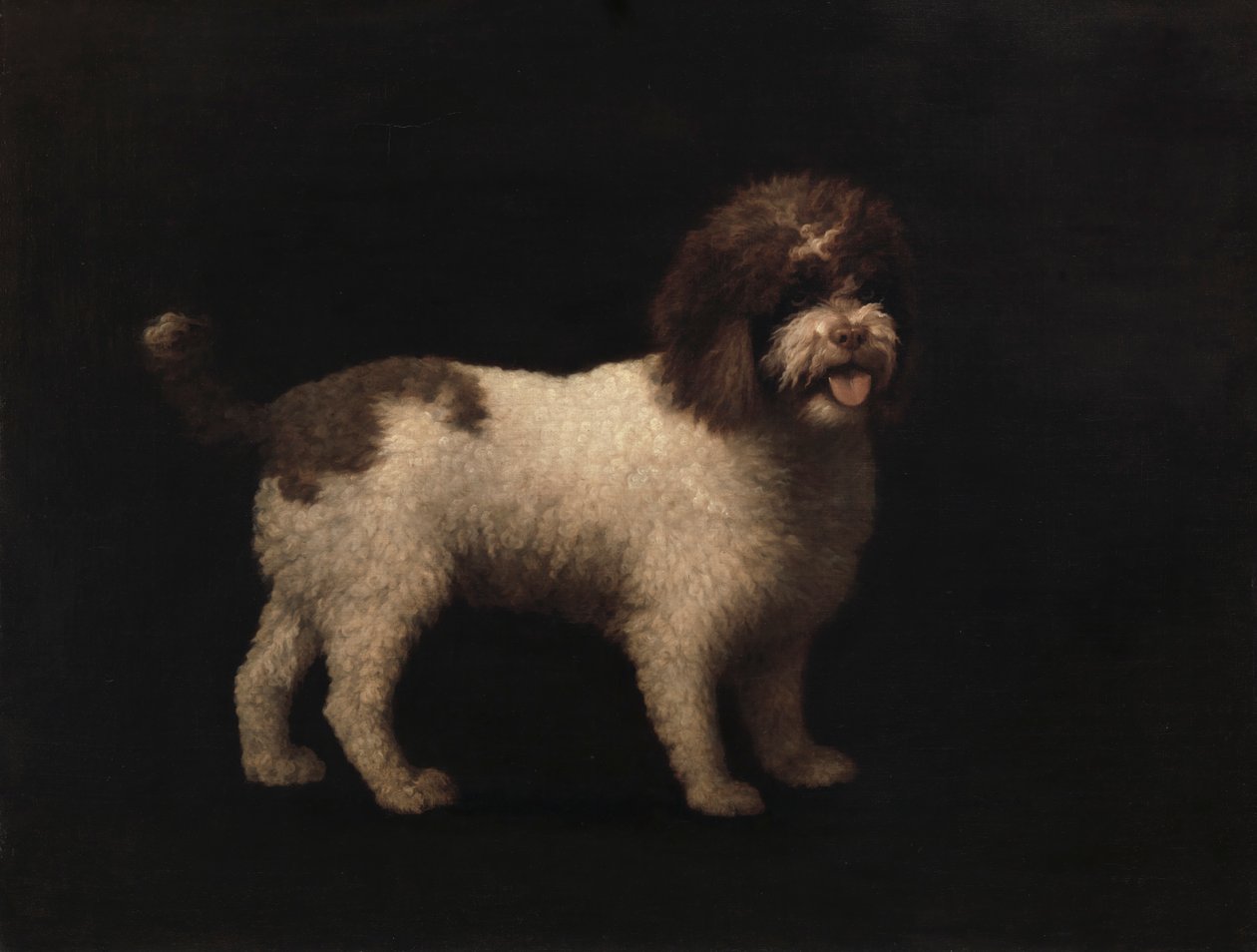 Wasser-Spaniel von George Stubbs