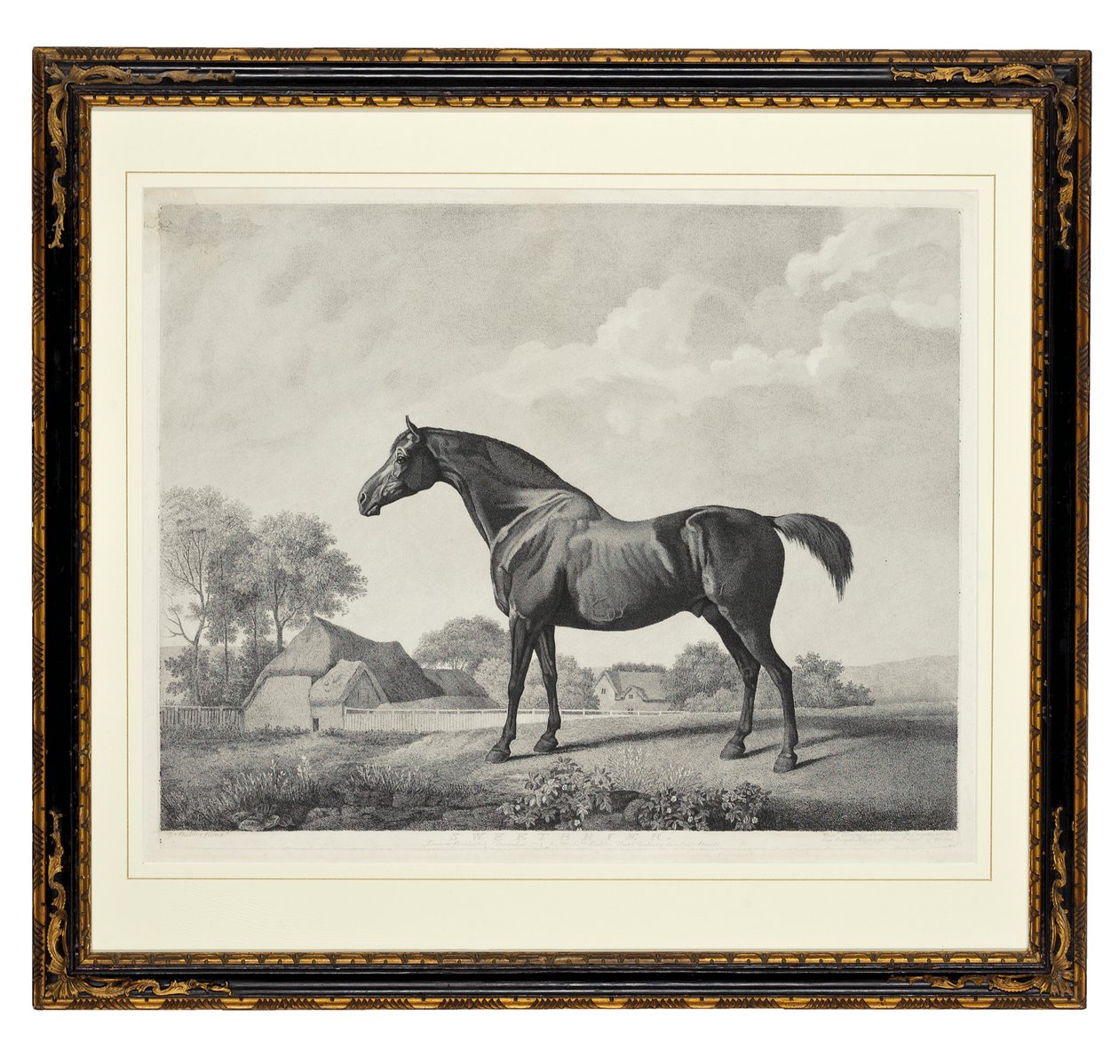 Heckenrose von George Townley Stubbs