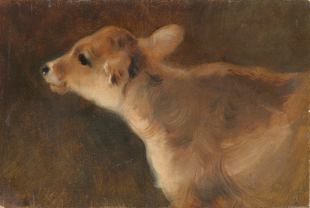 Ein Kalb (1879) von George Wiliam Horlor